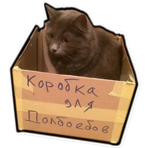 fuuucat