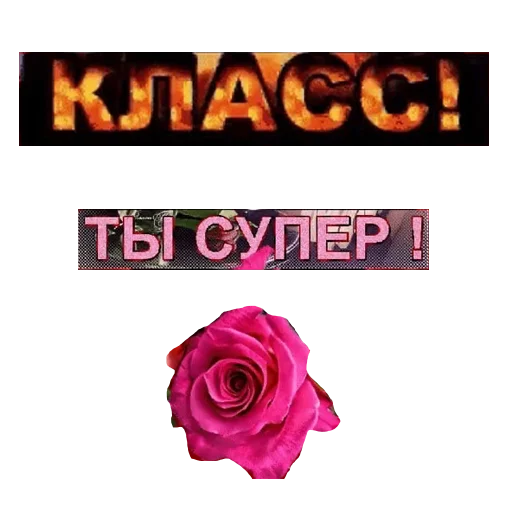 Стикер 24