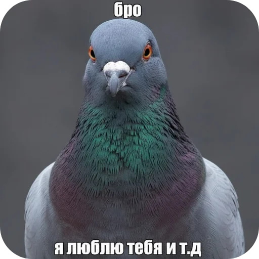 Стикер 16
