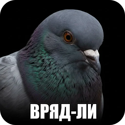 Стикер 17
