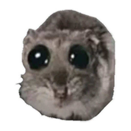 sad hamster by weekkoi 1