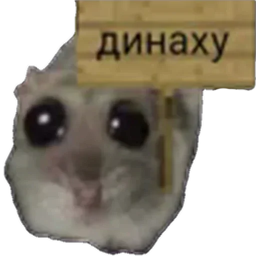Стикер 20