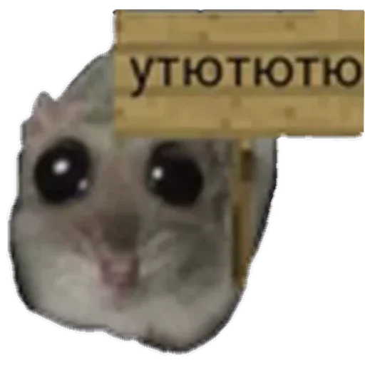 Стикер 21