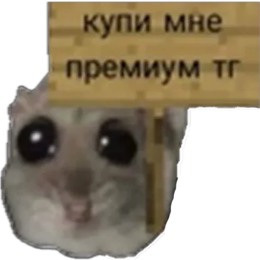 Стикер 22