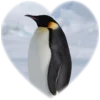 Сердечки 6