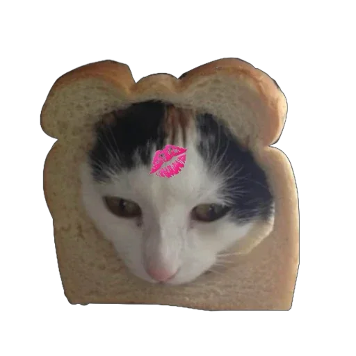 BreadCats 3