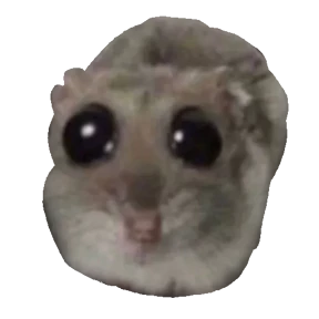 Хомячки