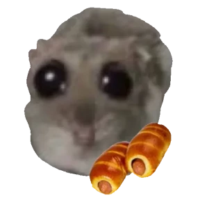 Хомячки 6