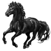 ilovehorses 2
