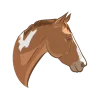 Стикер 17
