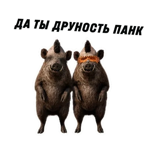 Стикер 7