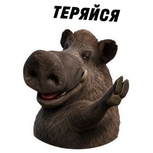 Стикер 8