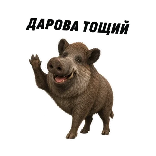 Стикер 10