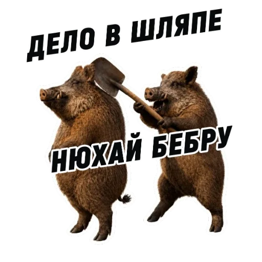 Стикер 11