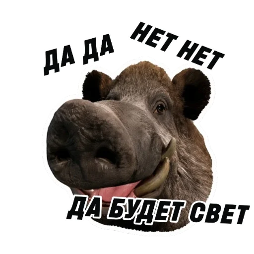 Стикер 13