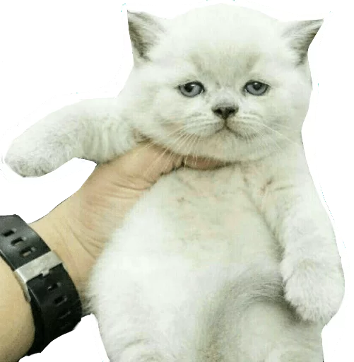 Стикер 9