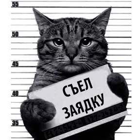Кот-рецидивист 4