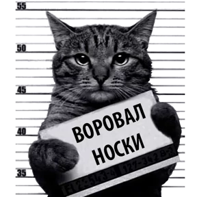 Стикер 7