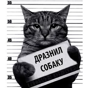 Стикер 11