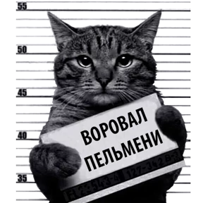 Стикер 13