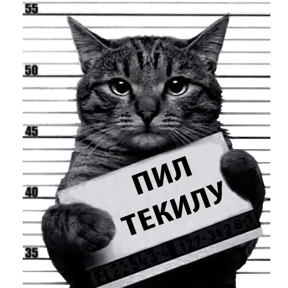 Стикер 14