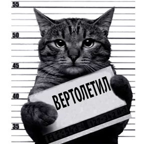 Стикер 16