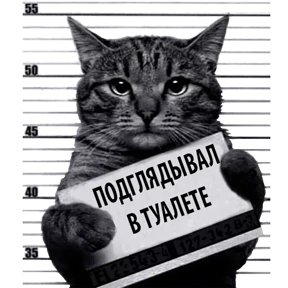 Стикер 19