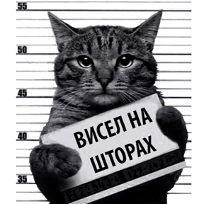 Стикер 20