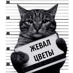 Стикер 21
