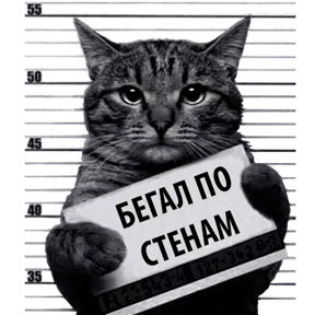 Стикер 22