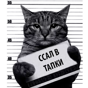 Стикер 23