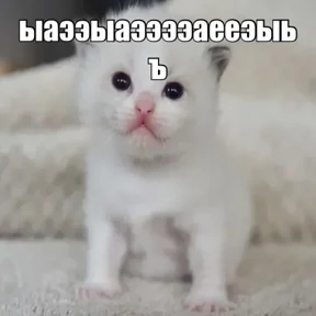 Котеночки 2