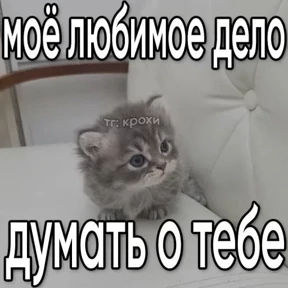 Котеночки 4