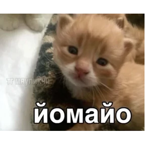 Стикер 7