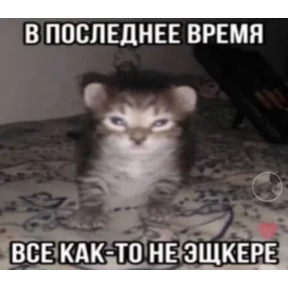 Стикер 8
