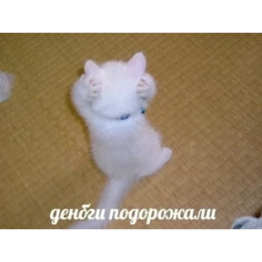 Стикер 9