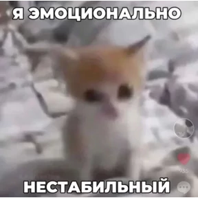 Стикер 10