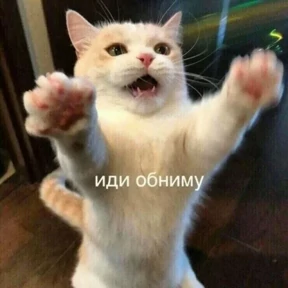 Стикер 13