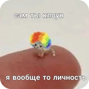 котики смешные 6