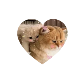 Котики в сердечках