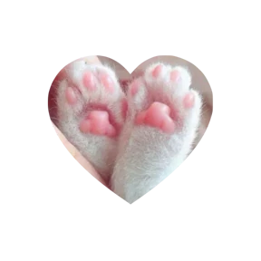 Котики в сердечках 2