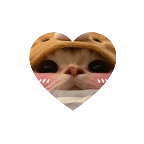 Котики в сердечках 3
