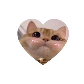 Котики в сердечках 4