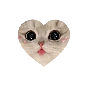 Котики в сердечках 5