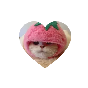 Котики в сердечках 6