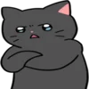 ꒰ᐢ • ˕ • ᐢ꒱ 6