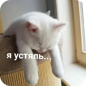 Стикер 1
