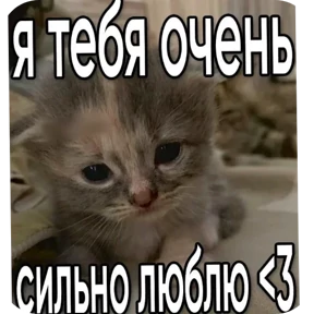 Стикер 3