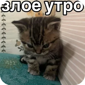 Стикер 4