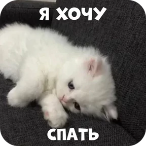 Стикер 5